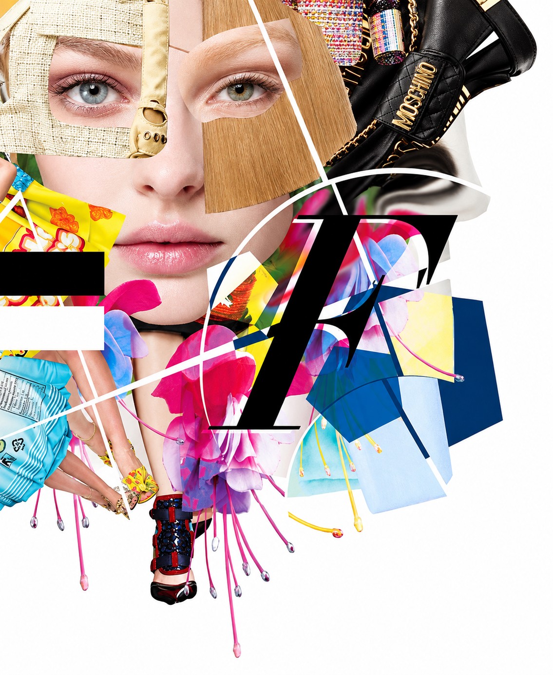 The Language of Creativity